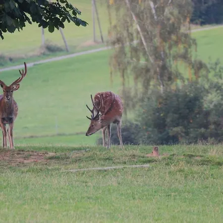 Idyllisches Haeuschen Im Gruenen شقة *