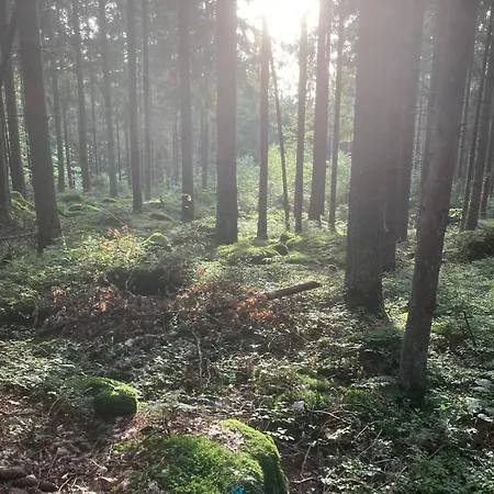 Apartment Idyllisches Haeuschen Im Gruenen Waidhaus