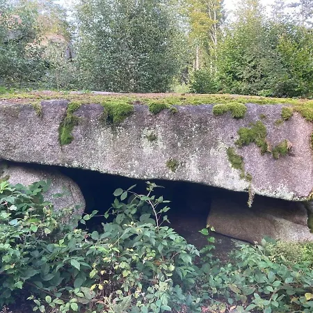 Idyllisches Haeuschen Im Gruenen شقة