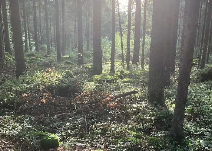 Appartement Idyllisches Haeuschen Im Gruenen Waidhaus